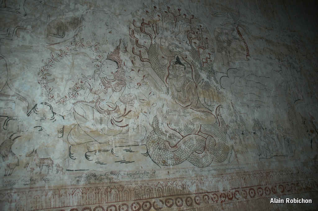 DSC_0405.JPG