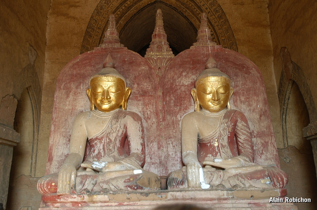 DSC_0410.JPG
