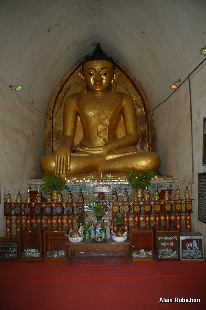 DSC_0415.JPG