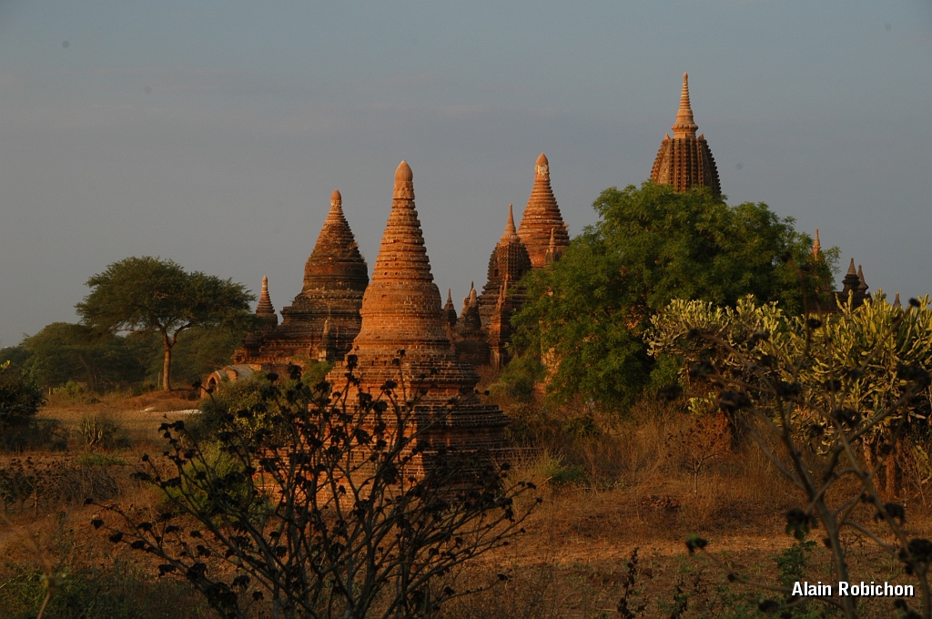 DSC_0422.JPG