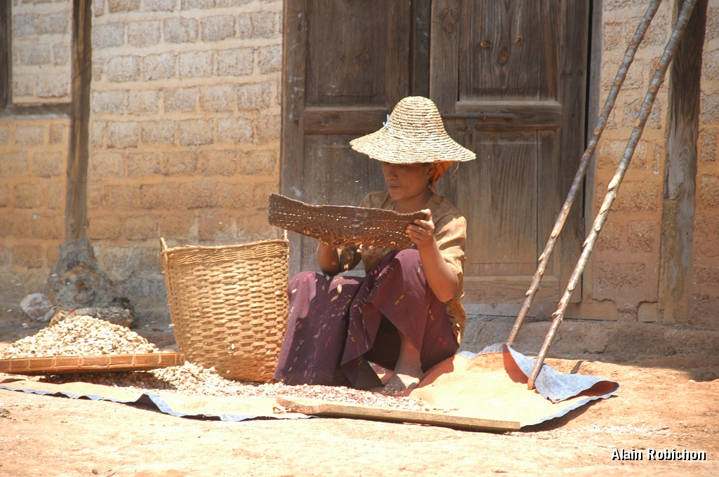 DSC_0548.JPG