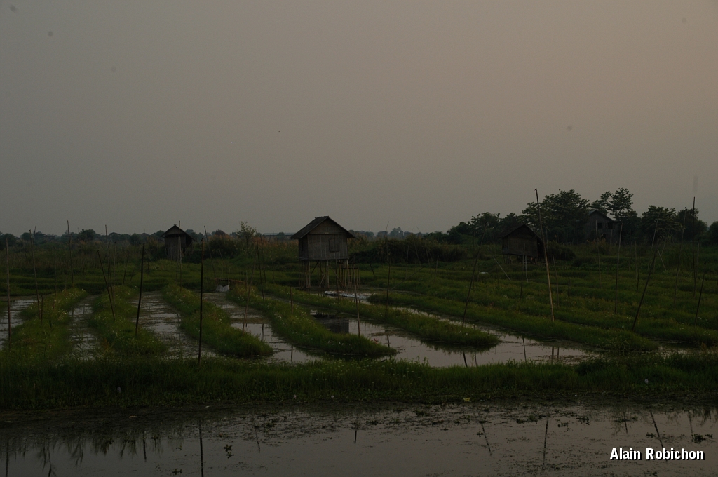 DSC_10045.JPG