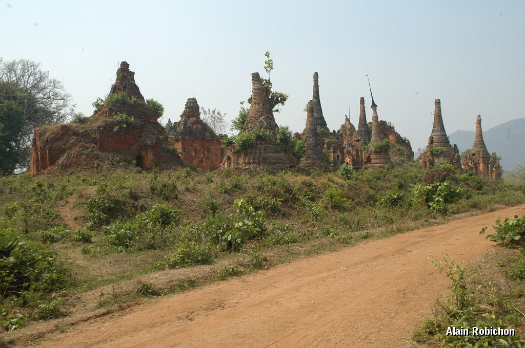 DSC_10082.JPG