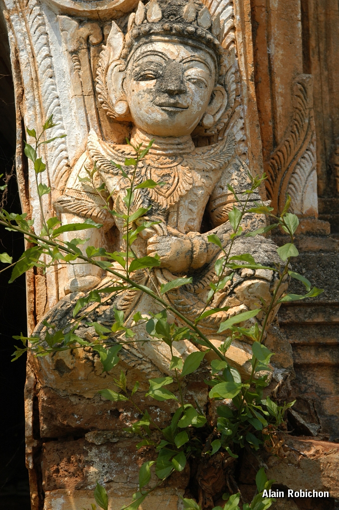 DSC_10091.JPG