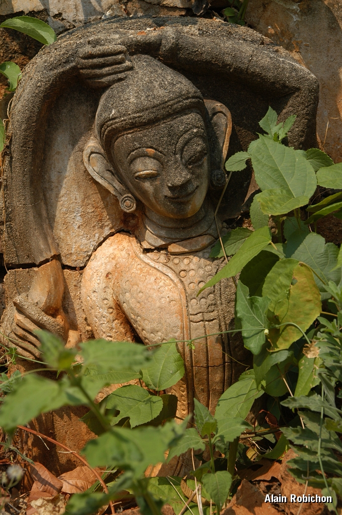 DSC_10093.JPG