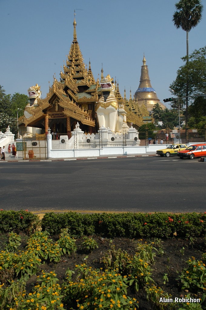 DSC_10099.JPG