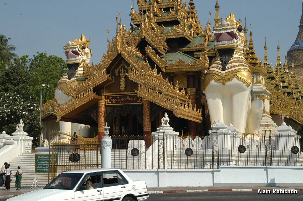 DSC_10100.JPG