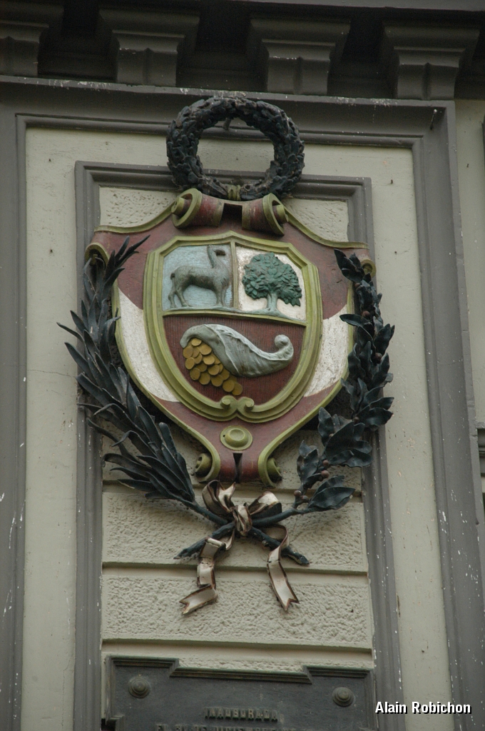 DSC_0029.JPG