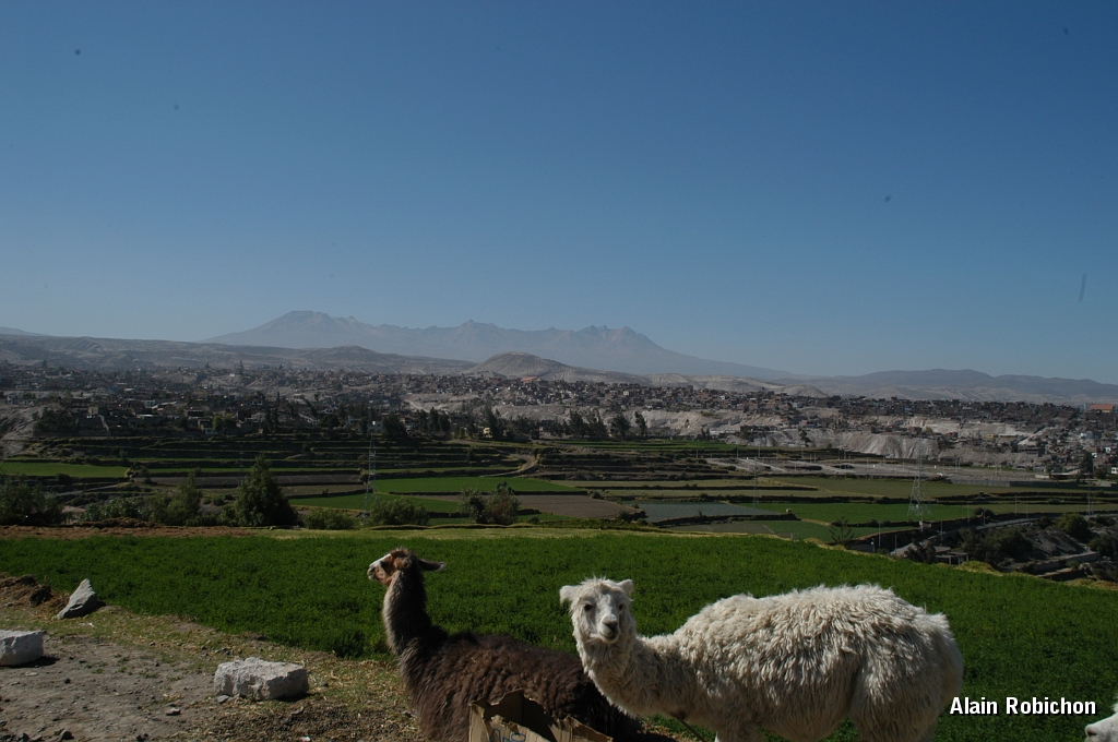 DSC_0035.JPG