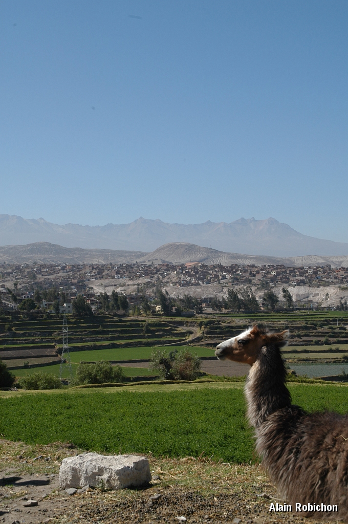DSC_0039.JPG
