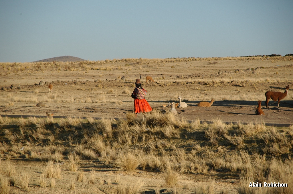 DSC_0114.JPG