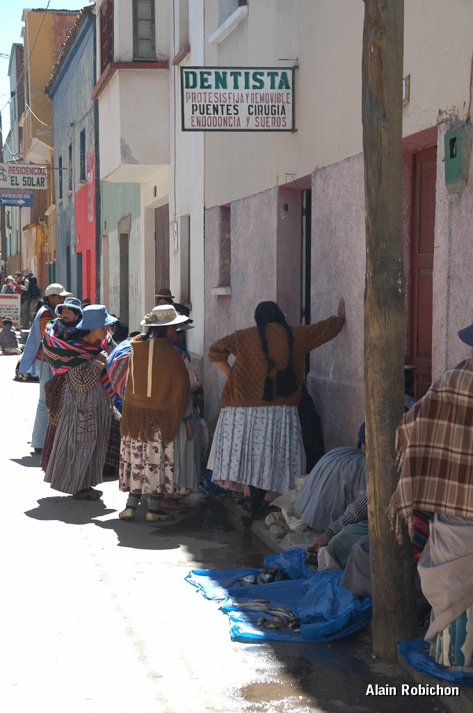 DSC_0128.JPG -                                 