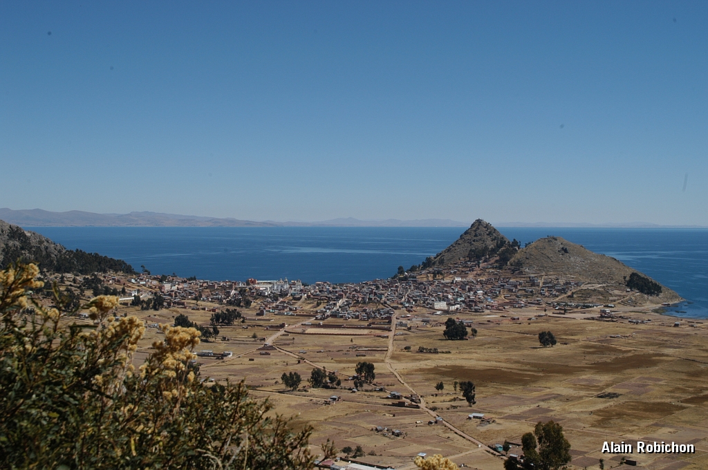 DSC_0132.JPG -                                 