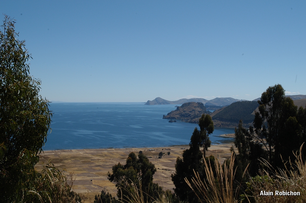 DSC_0133.JPG -                                 