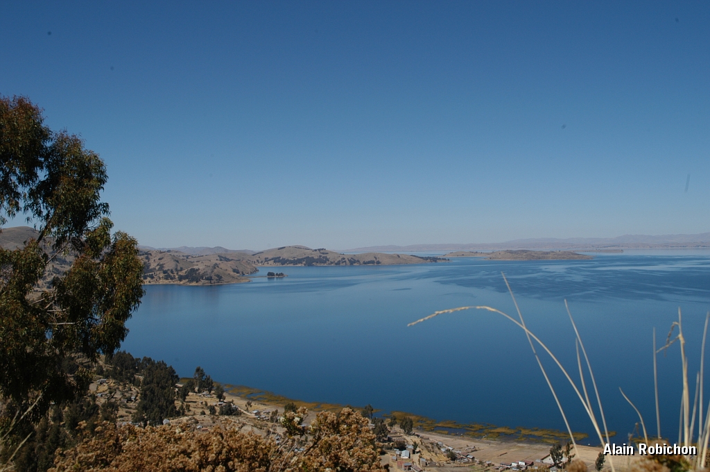 DSC_0137.JPG -                                 