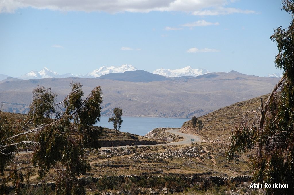 DSC_0138.JPG -                                 