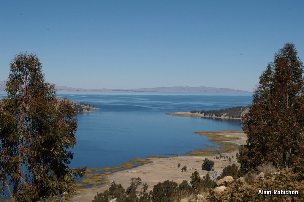 DSC_0140.JPG -                                 