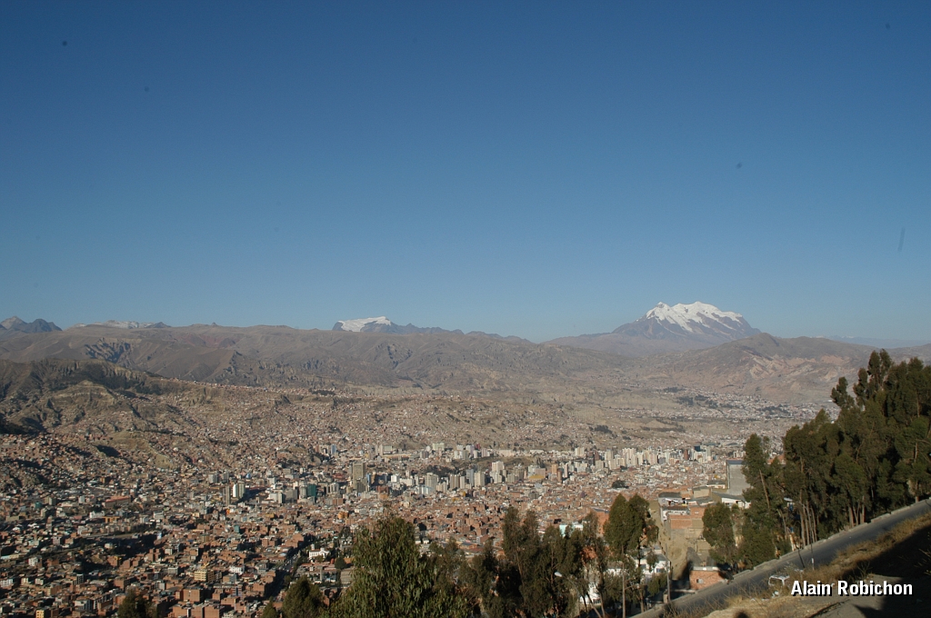 DSC_0141.JPG -                                 