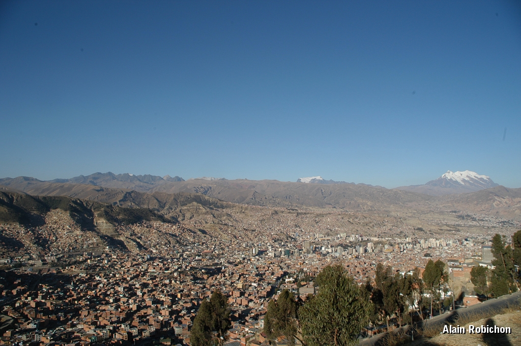DSC_0142.JPG -                                 