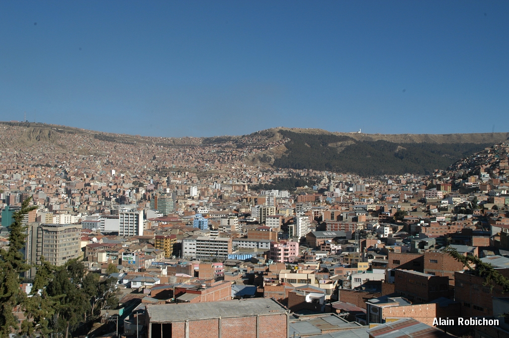 DSC_0146.JPG -                                 