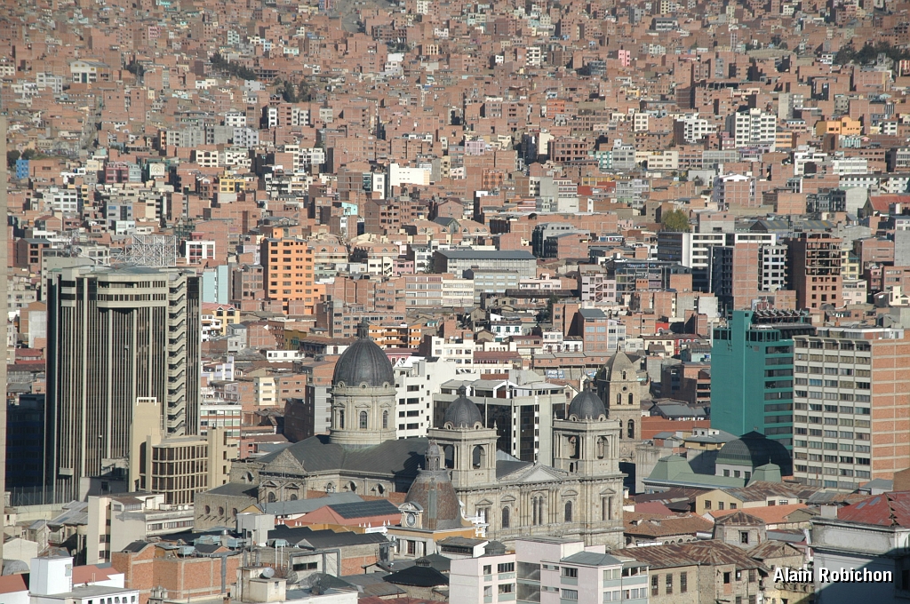 DSC_0147.JPG -                                 