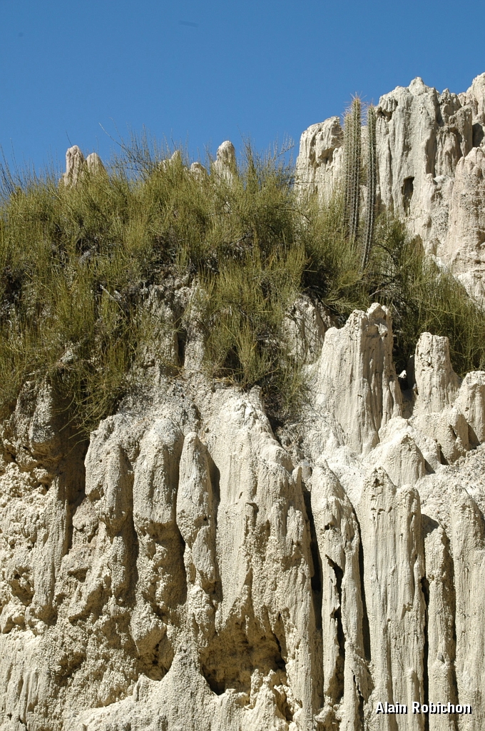 DSC_0169.JPG -                                 