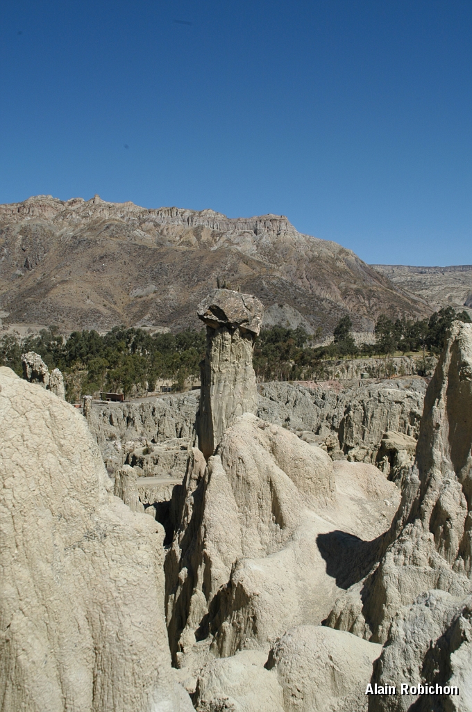 DSC_0172.JPG -                                 