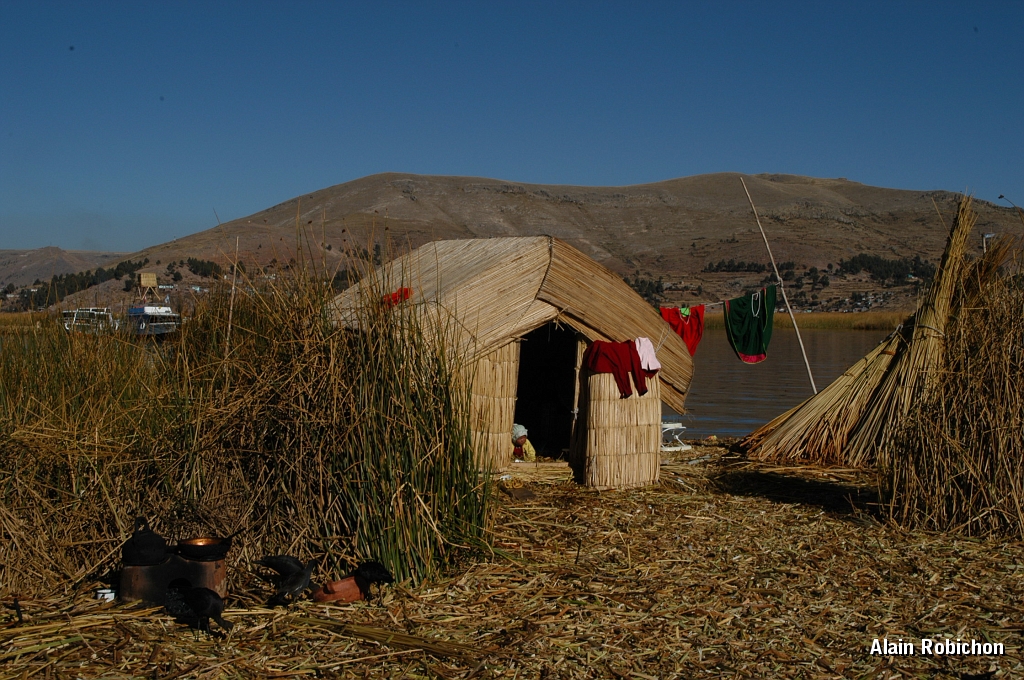 DSC_0224.JPG