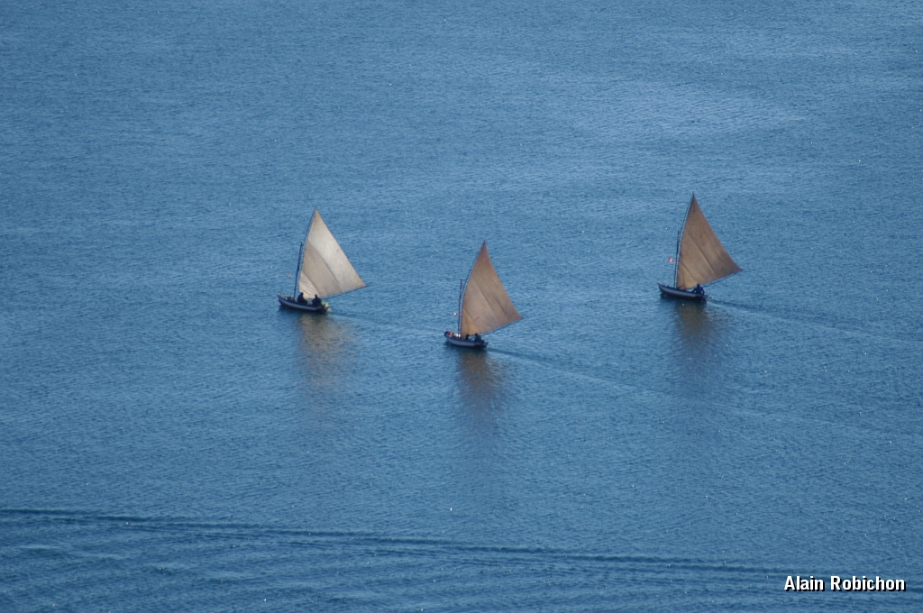 DSC_0268.JPG