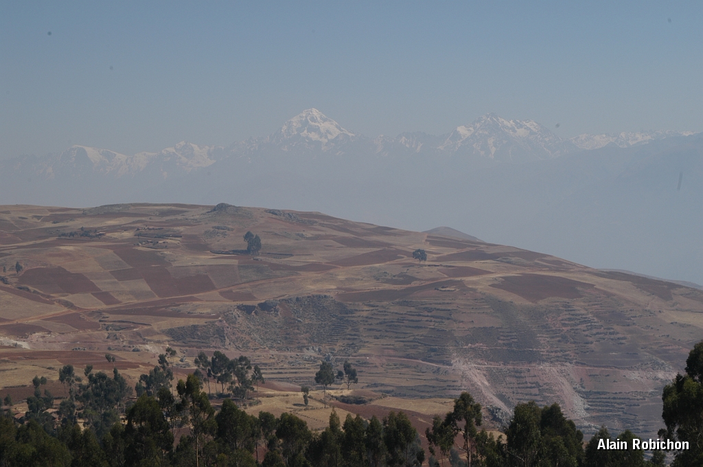 DSC_0315.JPG -                                 