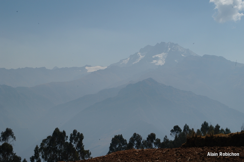 DSC_0316.JPG -                                 