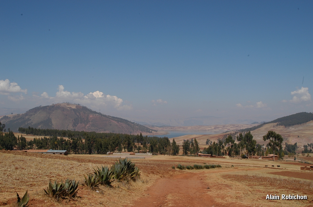 DSC_0317.JPG -                                 
