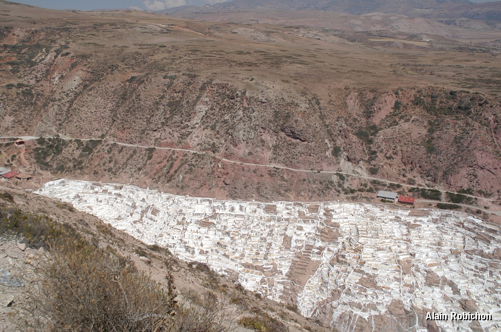DSC_0318.JPG -                                 