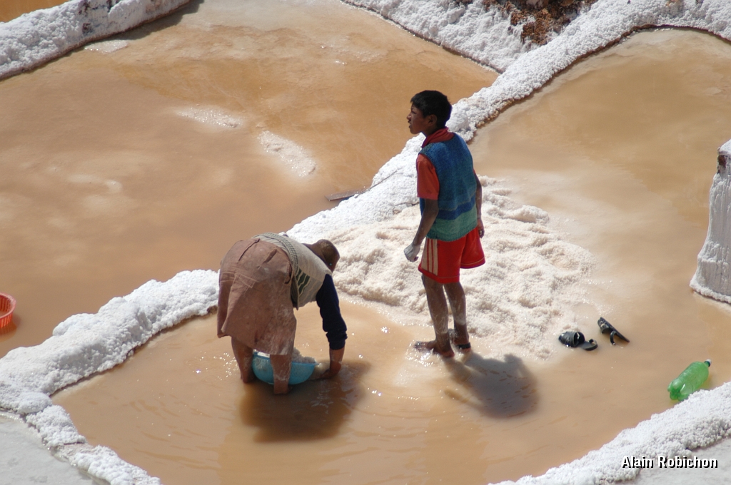 DSC_0326.JPG -                                 