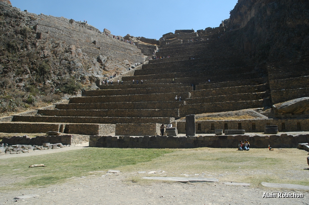 DSC_0333.JPG -                                 