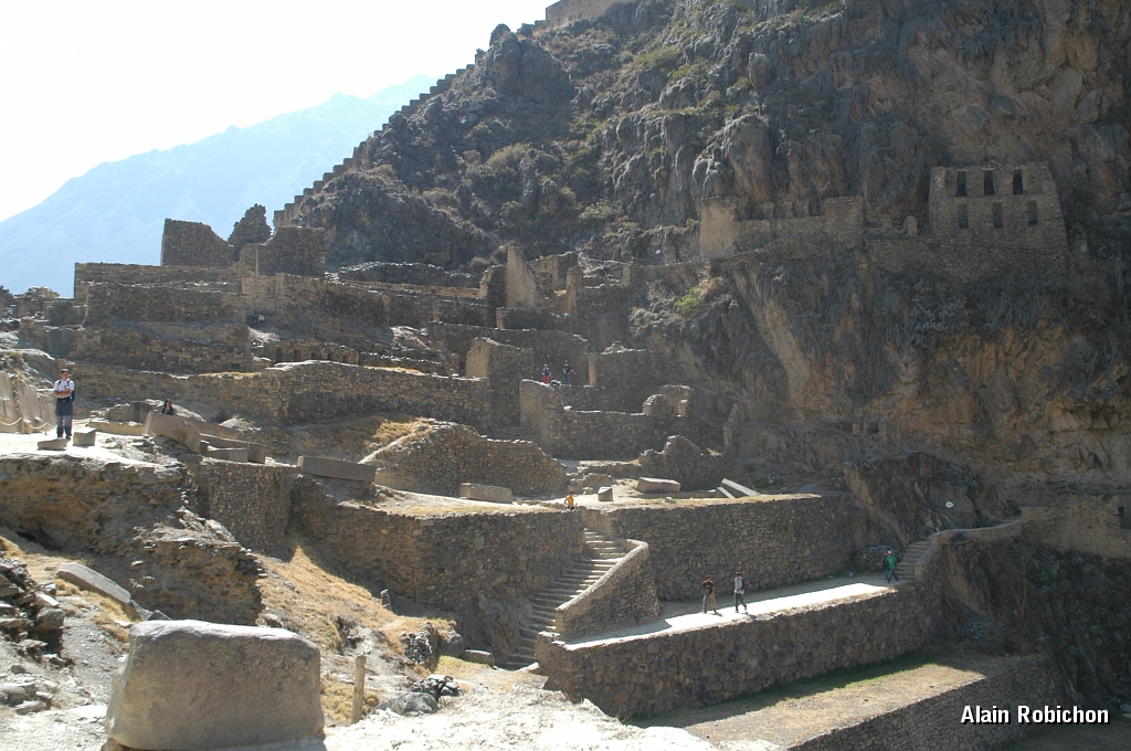 DSC_0343.JPG -                                 
