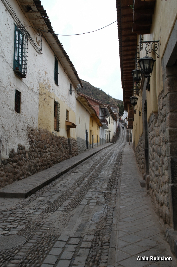 DSC_0427.JPG -                                 
