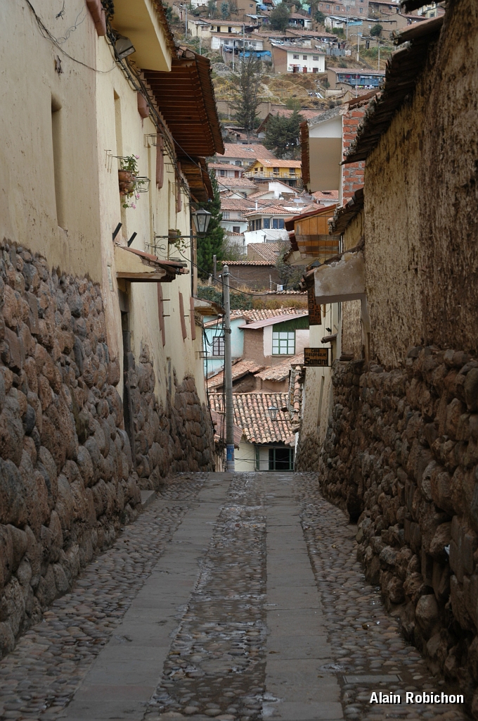 DSC_0428.JPG -                                 