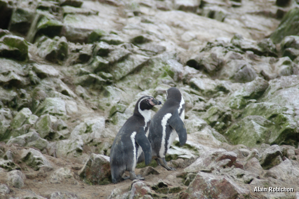 DSC_0489.JPG
