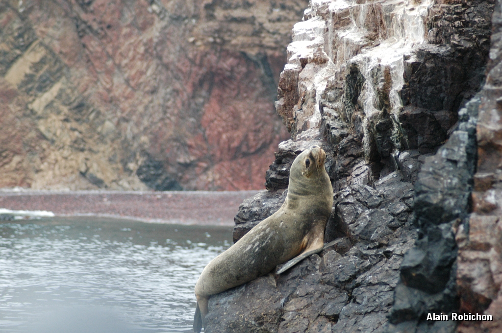 DSC_0511.JPG