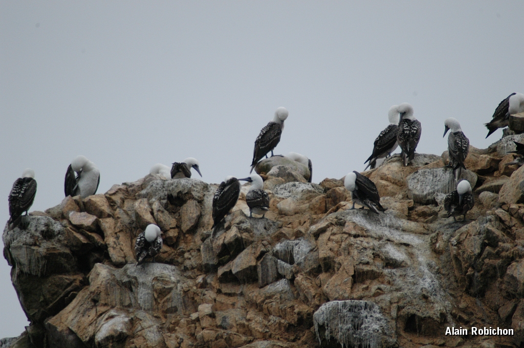 DSC_0512.JPG