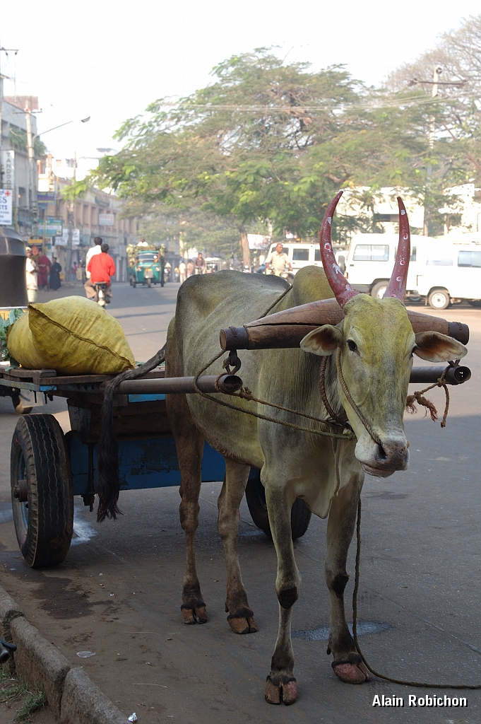inde20060124004.jpg