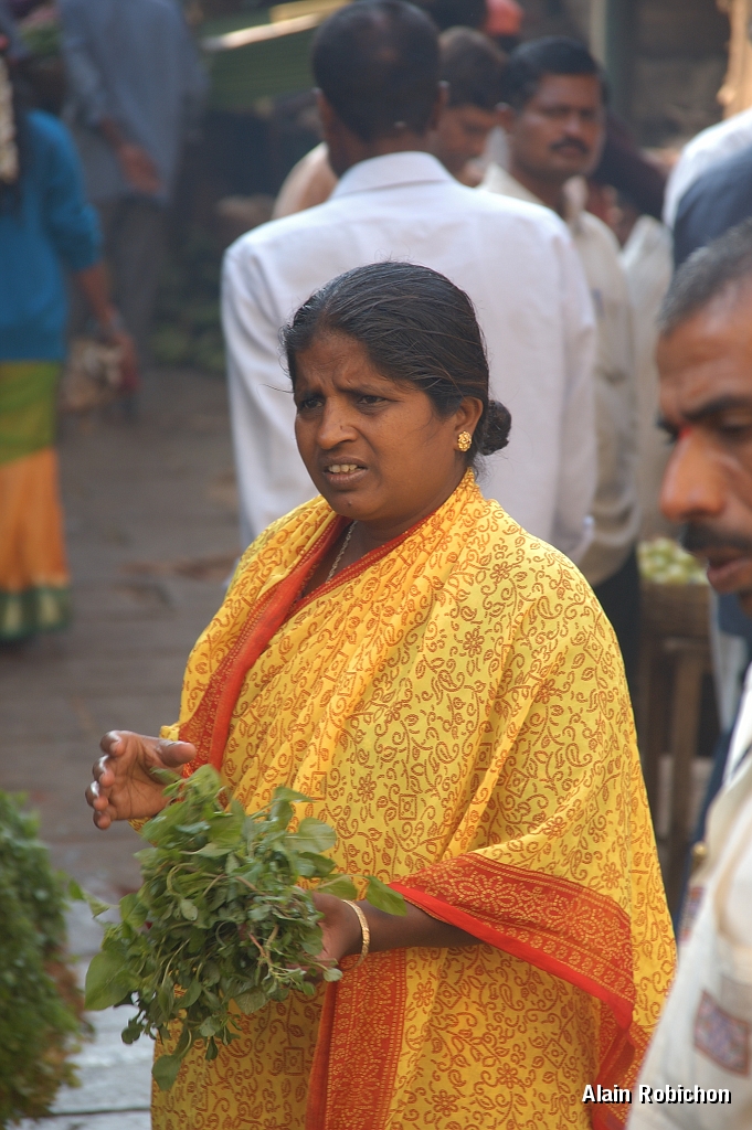 inde20060124005.jpg