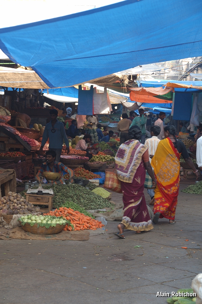inde20060124006.jpg