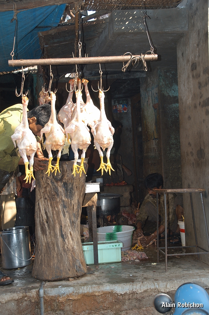 inde20060124015.jpg