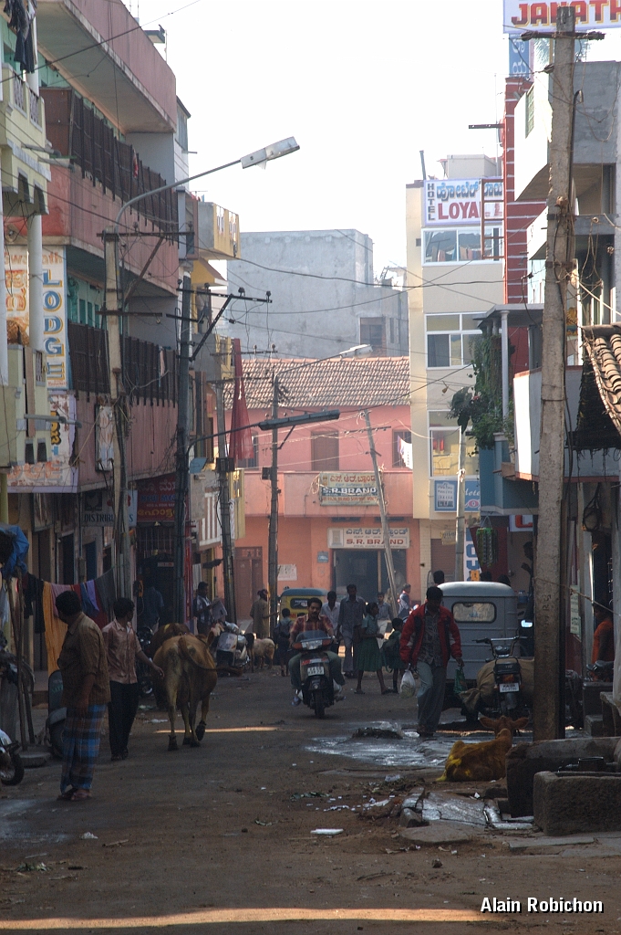 inde20060124019.jpg