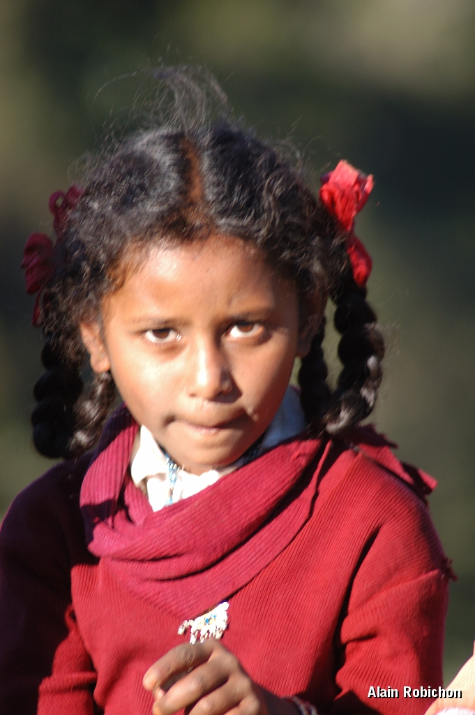 inde20060125019.jpg