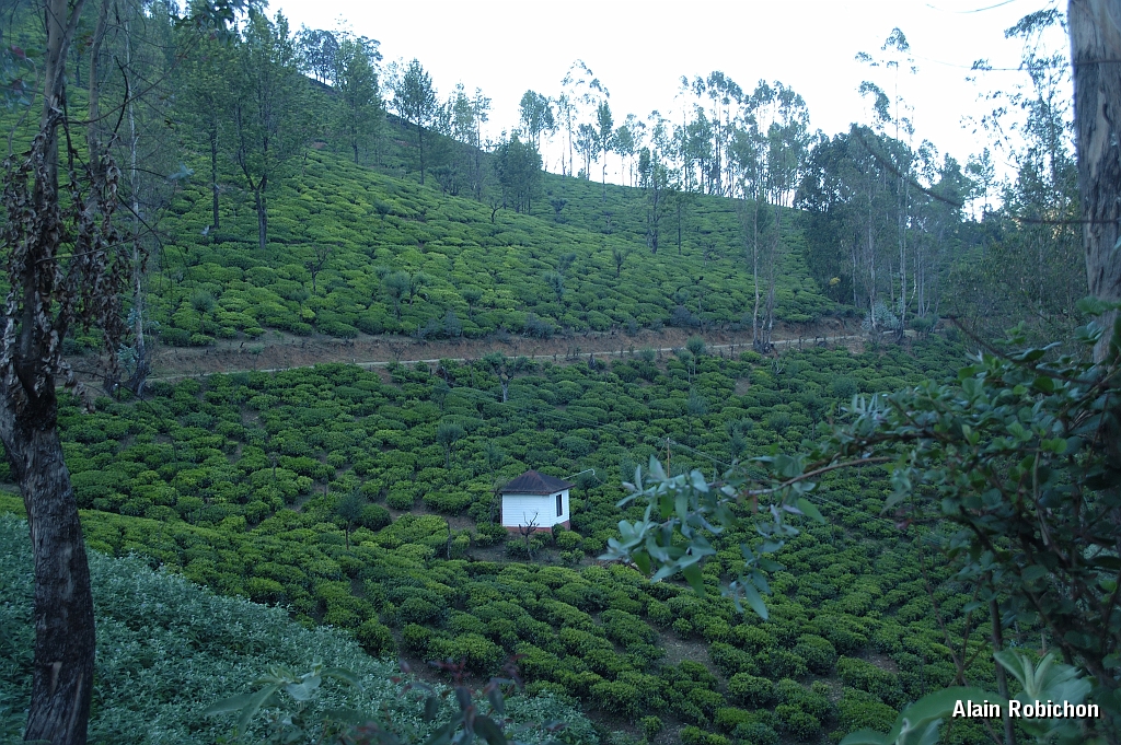 inde20060125022.jpg