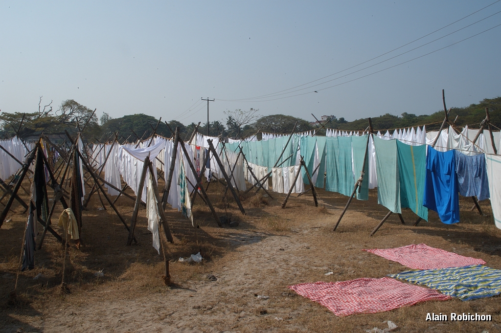 inde20060128004.jpg