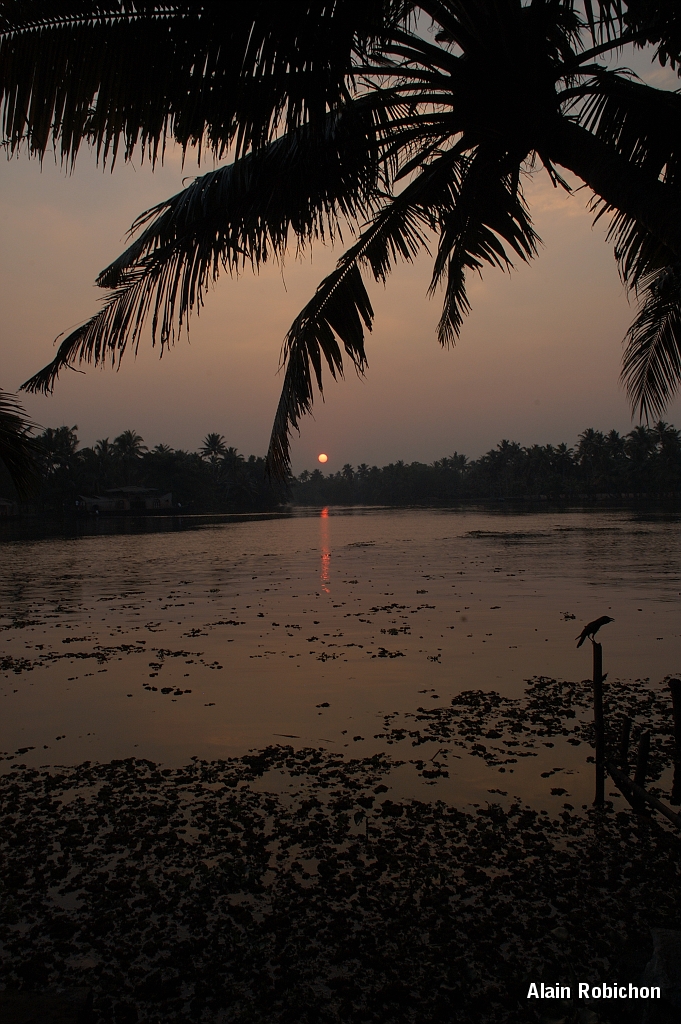 inde20060128026.jpg